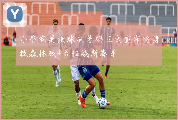 小香农更换球衣号码正式宣布将身披森林狼4号征战新赛季
